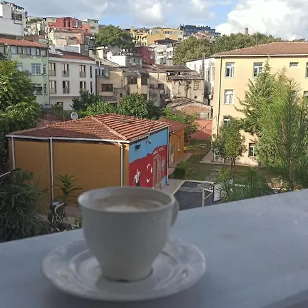 Alpacino Istanbul