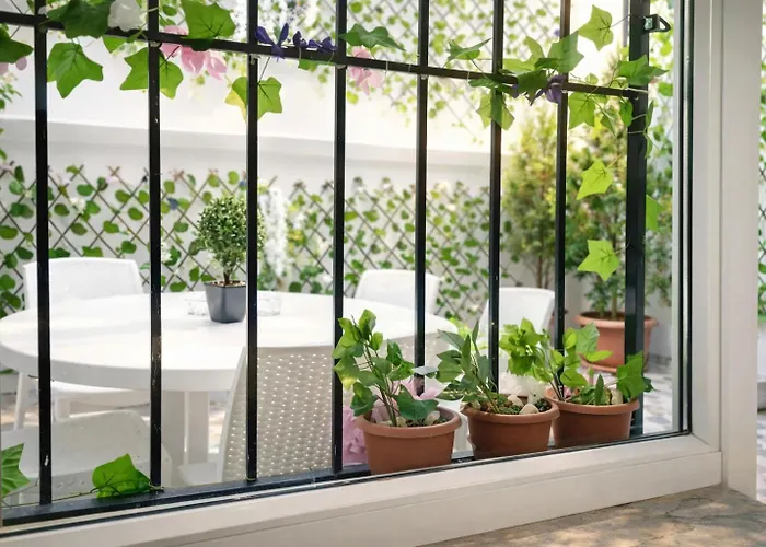 Daire Alpacino İstanbul